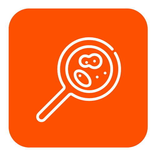 Icon 3